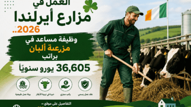 العمل في مزارع أيرلندا 2026.. وظيفة مساعد في مزرعة ألبان براتب 36,605 يورو سنويًا