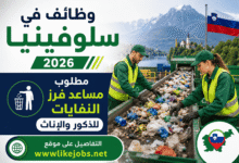 وظائف في سلوفينيا 2026.. مطلوب مساعد فرز النفايات للذكور والإناث