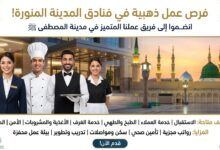 العمل في فنادق المدينة المنورة.. تعرف على الوظائف المتاحة وشروط التقديم