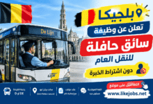 بلجيكا تعلن عن وظيفة سائق حافلة للنقل العام دون اشتراط الخبرة