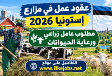 عقود عمل في مزارع إستونيا 2026 – مطلوب عامل زراعي ورعاية الحيوانات