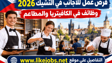 فرص عمل للأجانب في التشيك 2026: وظائف في الكافيتريا والمطاعم