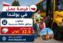 فرصة عمل في بولندا: مطلوب مرافق حافلة مدرسية براتب يبدأ من 32.5 زلوتي