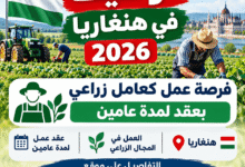 توظيف في هنغاريا 2026: فرصة عمل كعامل زراعي بعقد لمدة عامين