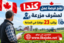 كندا تفتح فرصة عمل لمشرف مزرعة براتب 23 دولارًا في الساعة