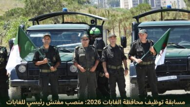 مسابقة توظيف محافظة الغابات 2026: منصب مفتش رئيسي للغابات