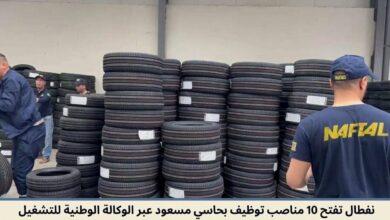 نفطال تفتح 10 مناصب توظيف بحاسي مسعود عبر الوكالة الوطنية للتشغيل